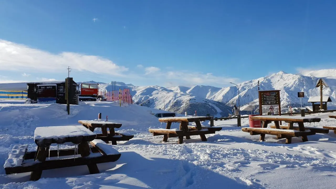 Hotel Alpino Lodge Bivio